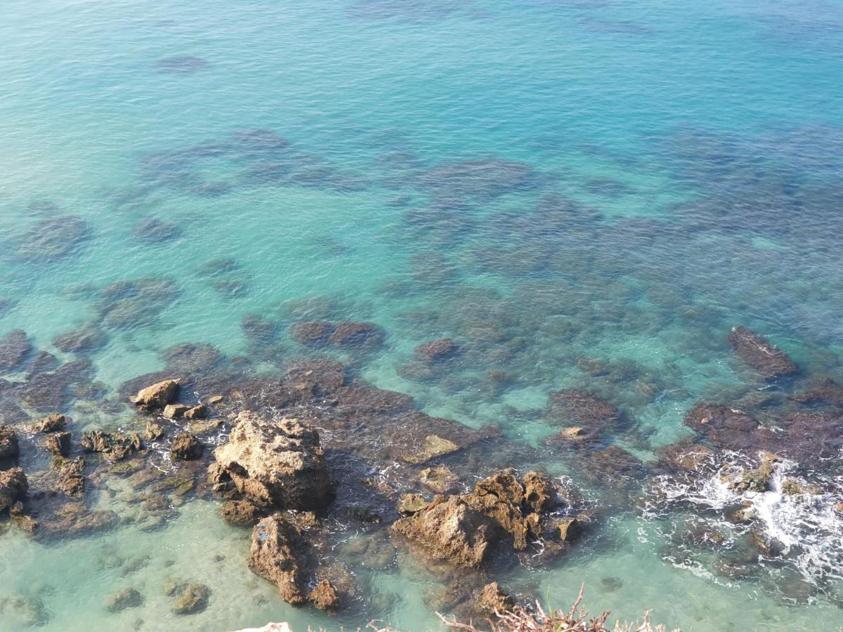 lotus beach house - Housity