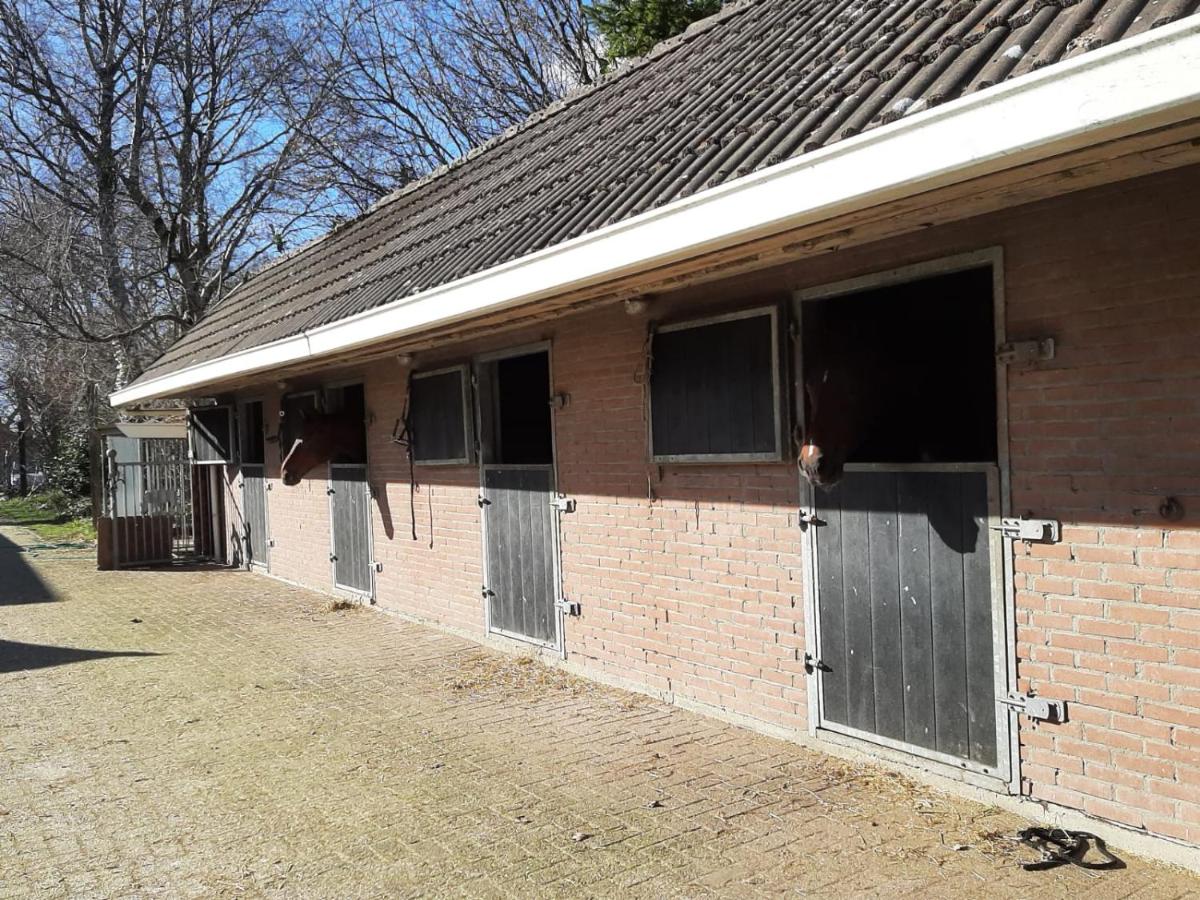 'T Wolthoes - Housity