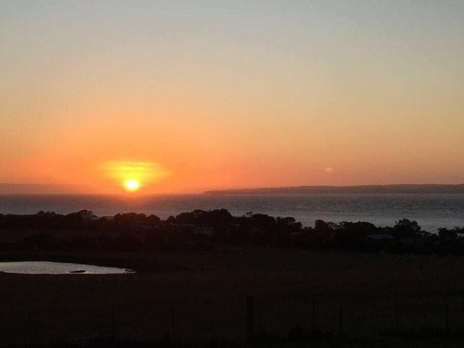 YOLO- Beach-house views, near penguins, nbn! - Housity