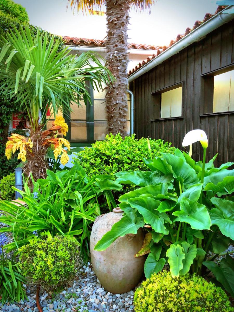 Jardin de l'établissement Hotel L'Océan