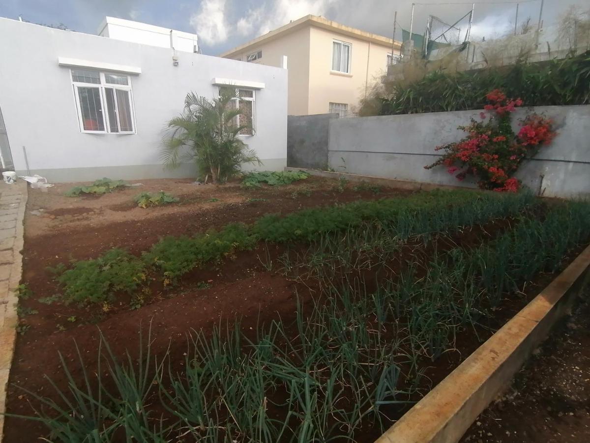 Khushi's Guest House - Cascavelle - Housity