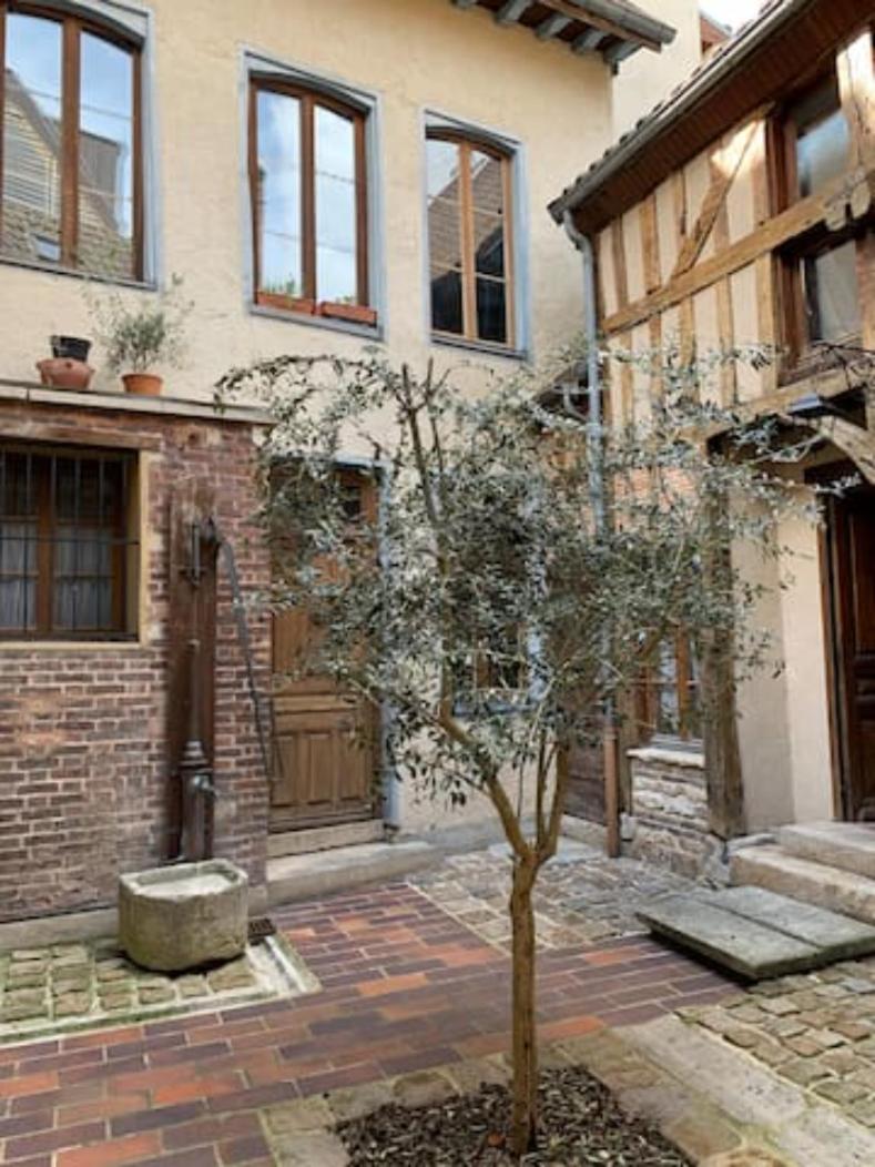 Aube berges de Troyes - Housity