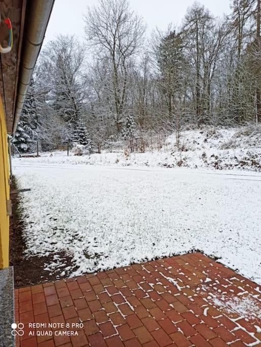 Gemütliches Ferienhaus im Harz direkt am Waldrand - Housity