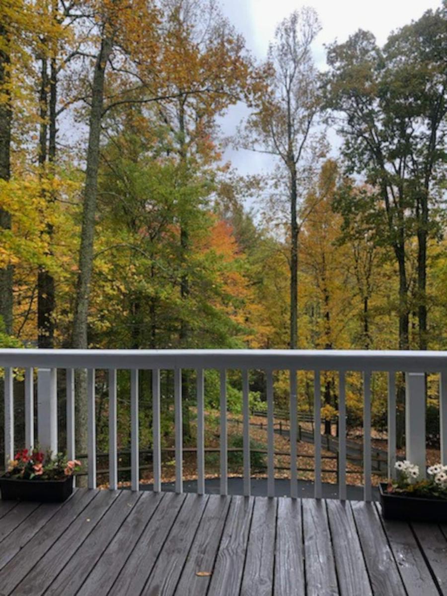 Blue Mountain Oasis, Stunning views. Mountain Gem! - Housity