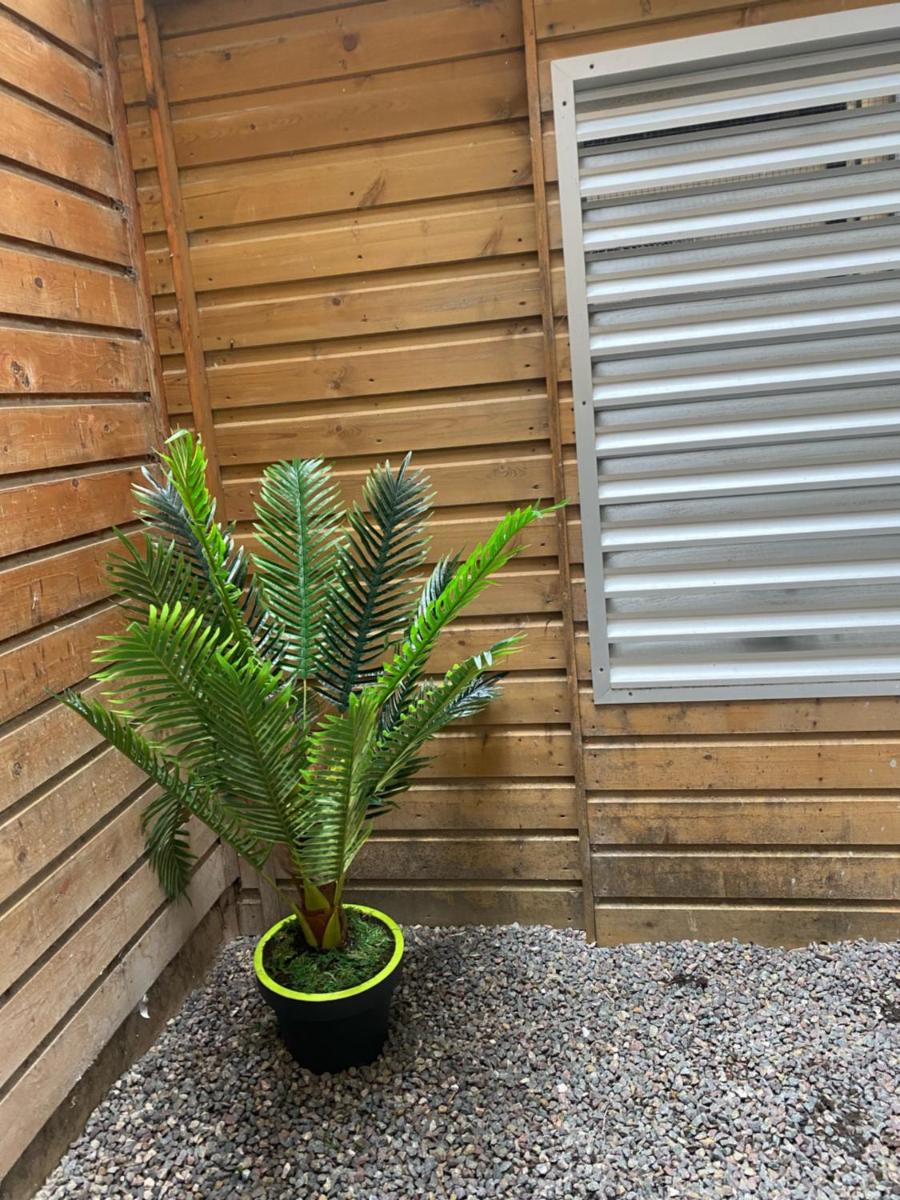 Avec JARDINET sans vis à vis Plein centre ville au RDC 350m de la plage - Housity