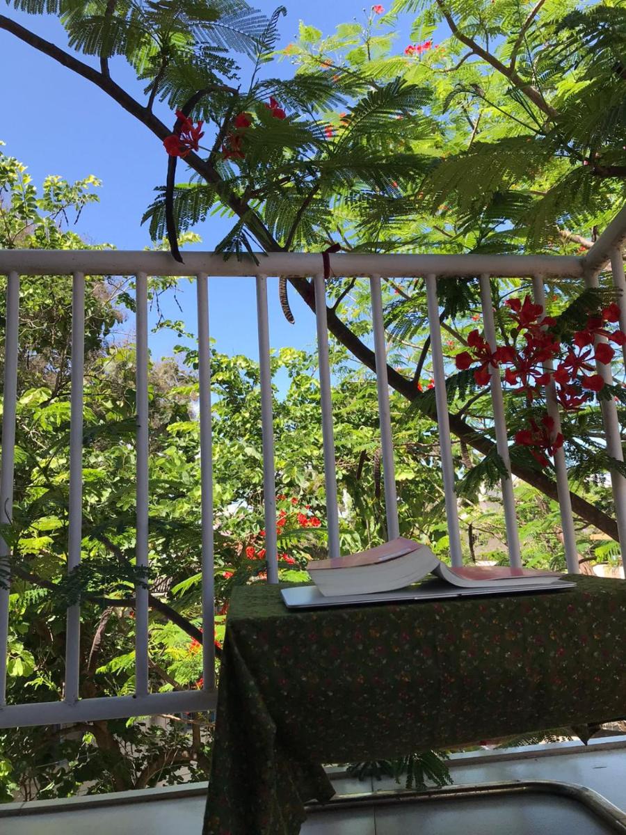 shavāsanā homestay - Housity