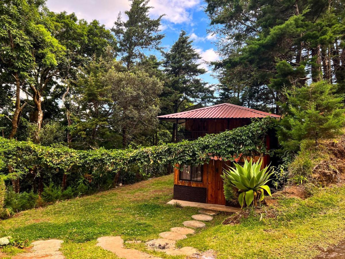 Cabañas Queca! - Housity