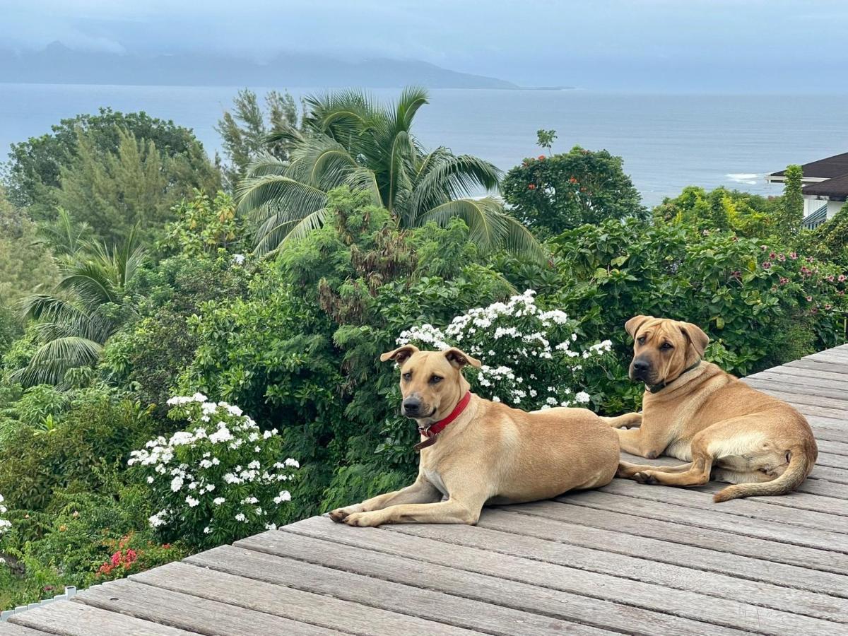 Jolie Maison Vue Ocean et Moorea - Housity