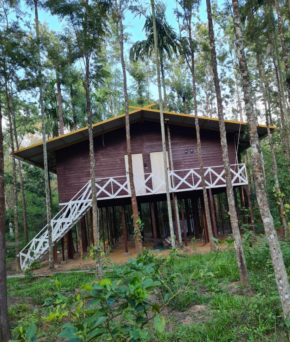 Deep Jungle Home Bandipur Mudumalai - Housity