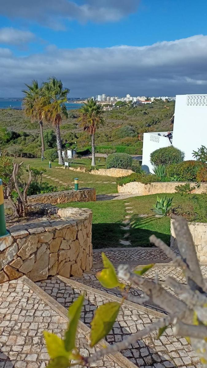 Three Palms Apartment - Housity