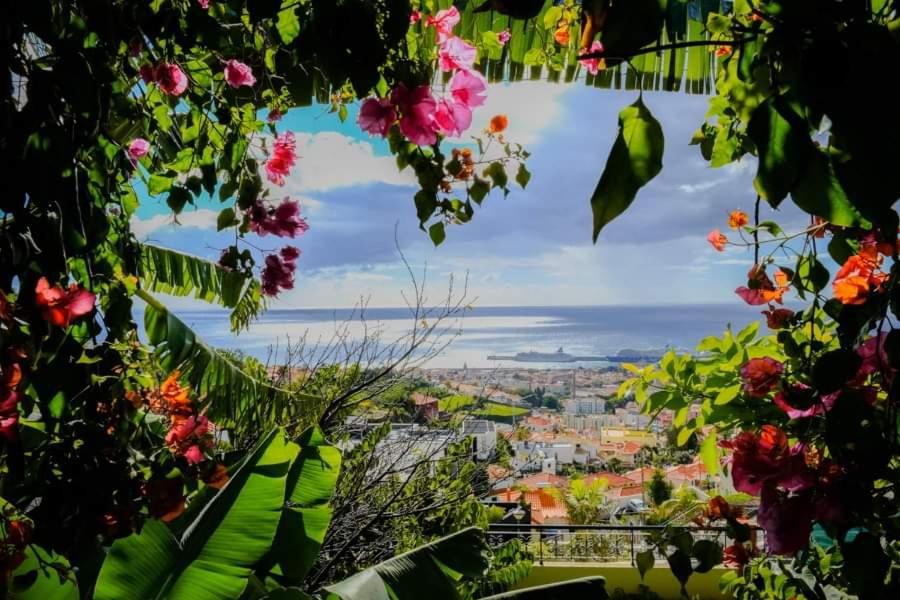 Granny's house view - Housity