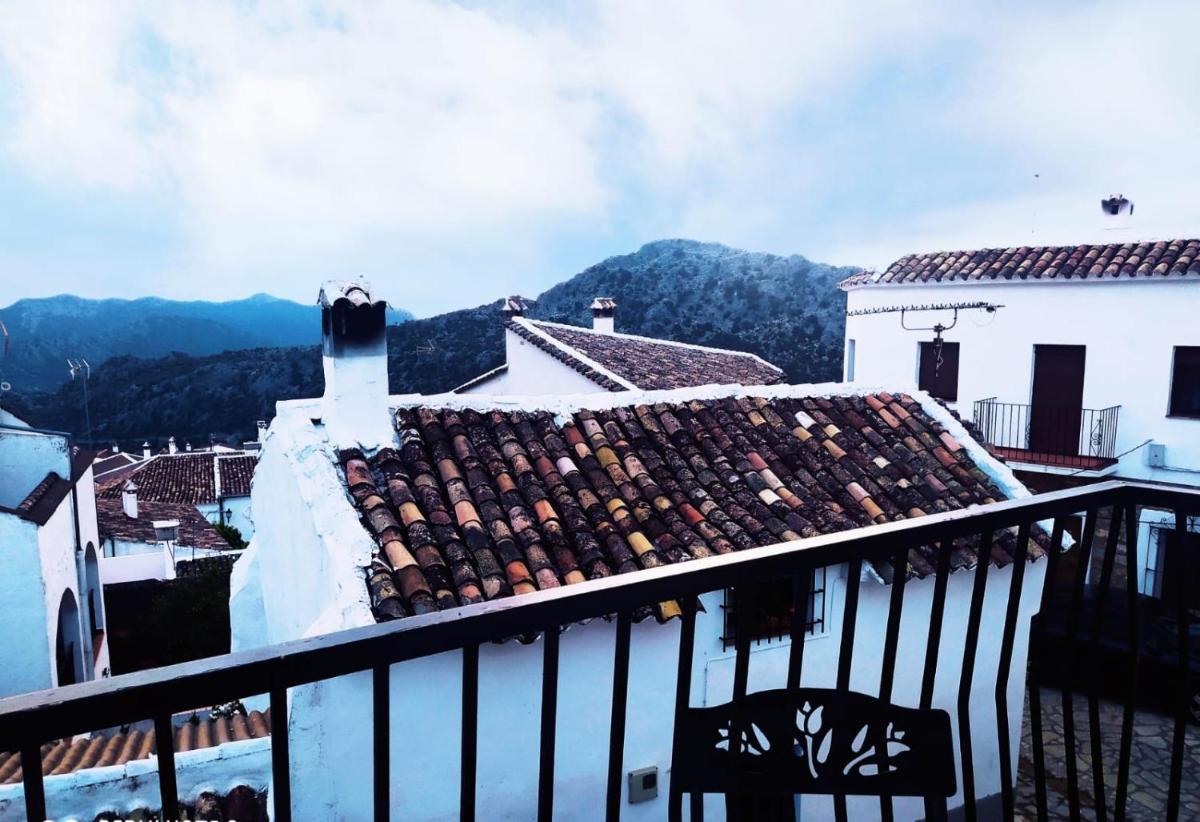 Casa Lola - Housity