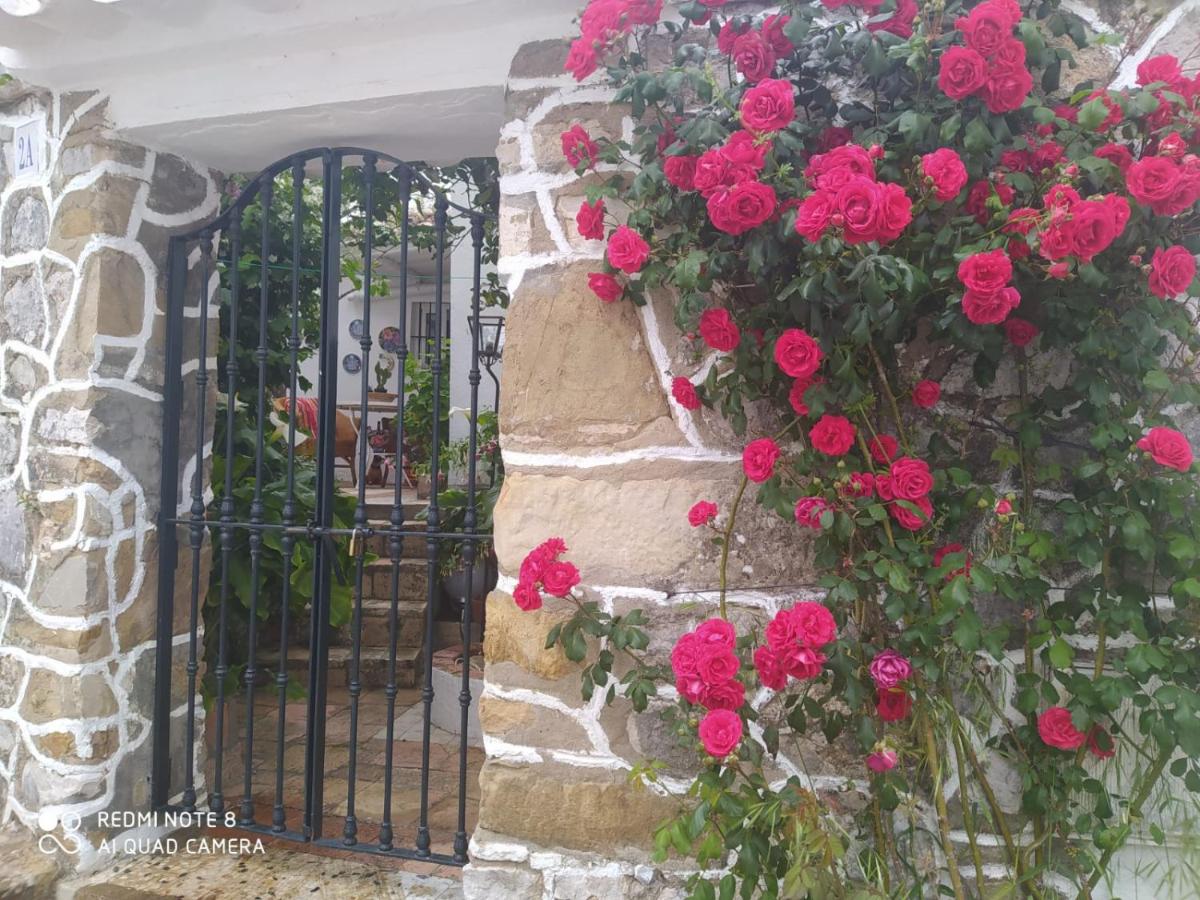 Casa Lola - Housity