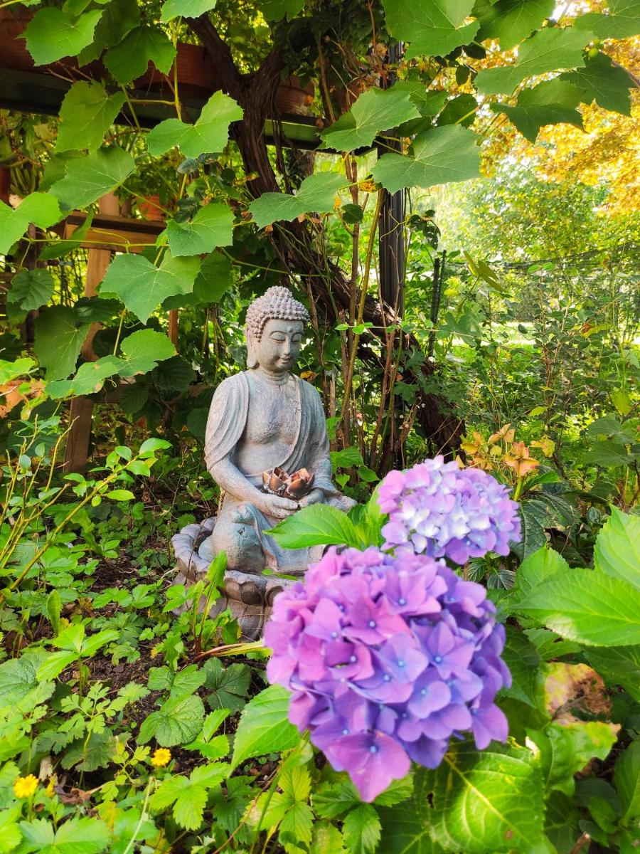 Modernes Zimmer am Park mit Garten, Hühner &amp; Enten - Housity