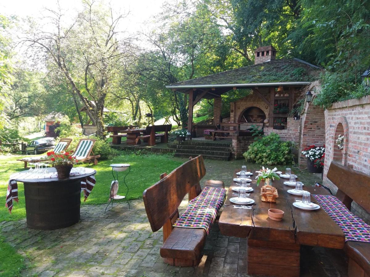 Mikin dol Baranja Country house - Housity