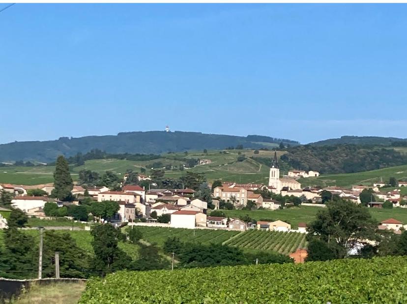 Gîte de la vieille vigne - Housity