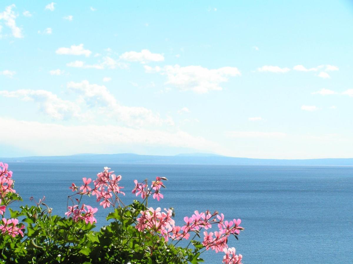 Guest House Lifestyle Holiday - Housity