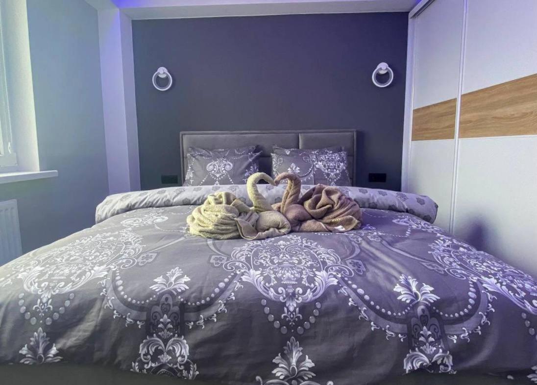 Charming Apartment - Housity