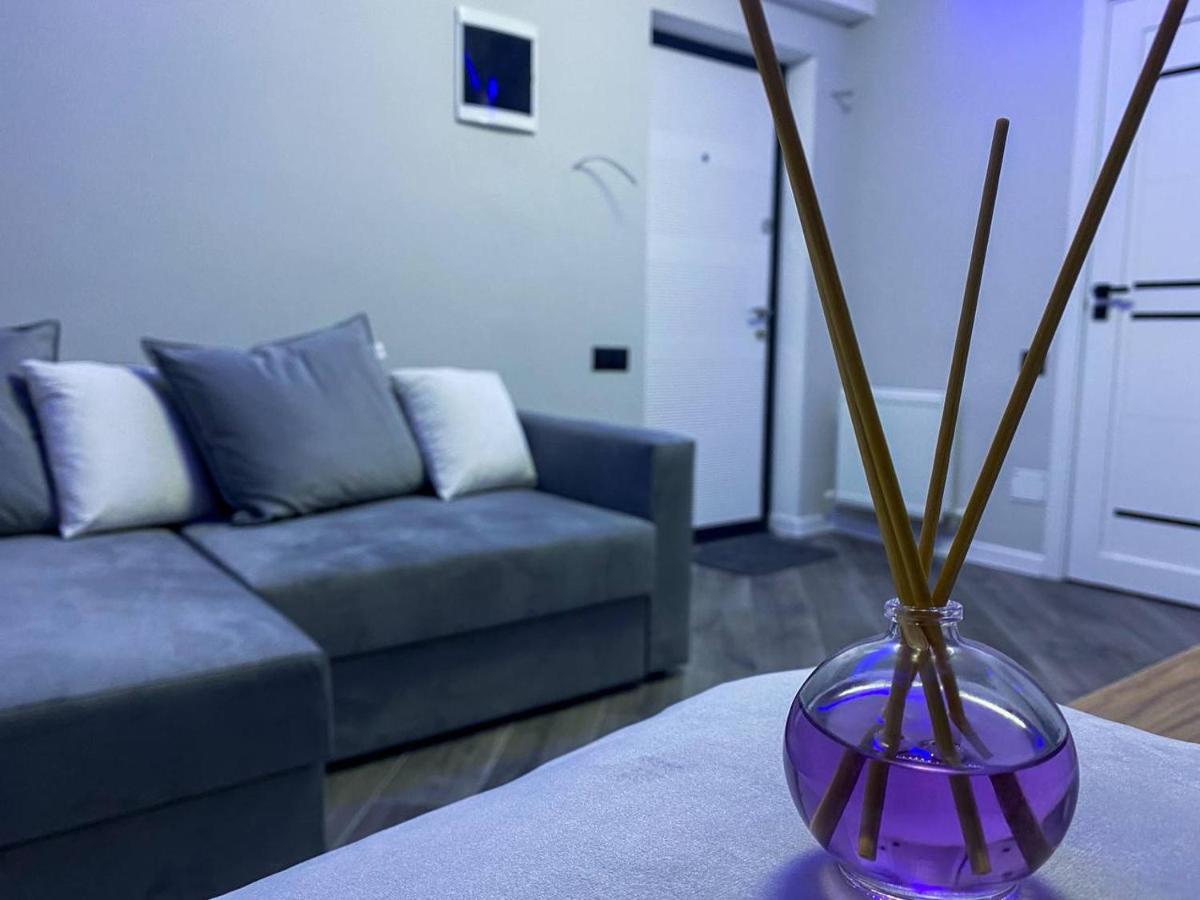 Charming Apartment - Housity