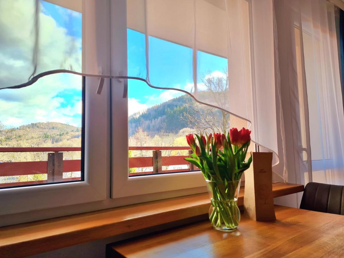 Apartament Nad wierzbami - Housity
