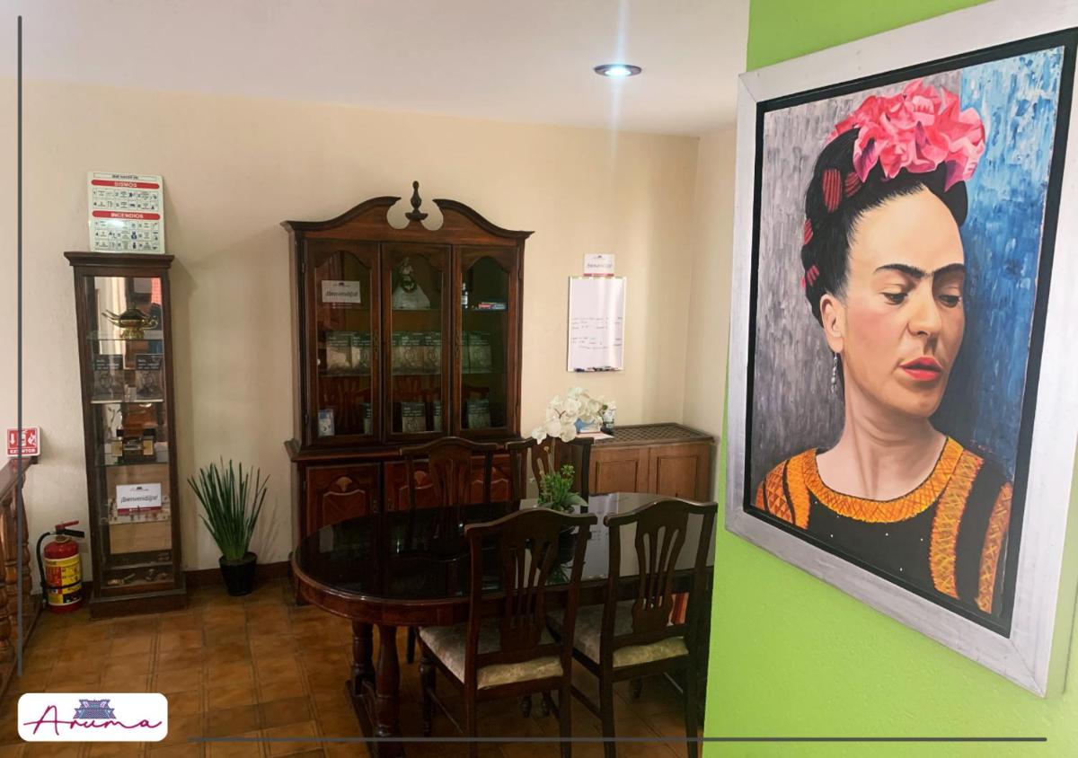 Aruma Cuernavaca - Hizvo