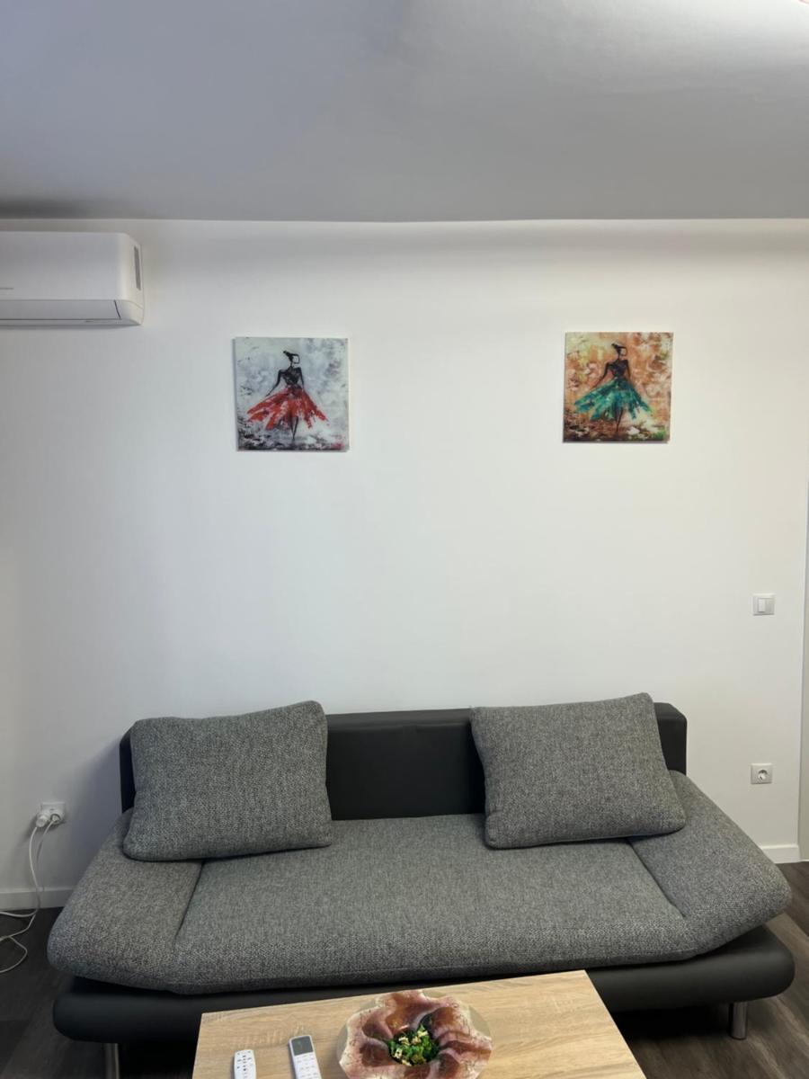 Cozy Residence - Housity