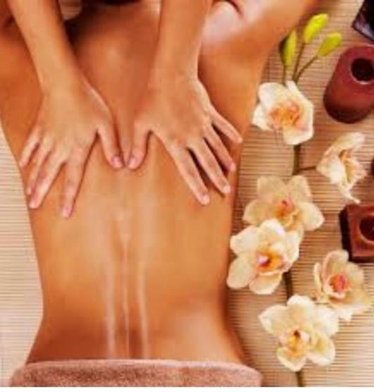 MealSaveurs & SPA - Housity