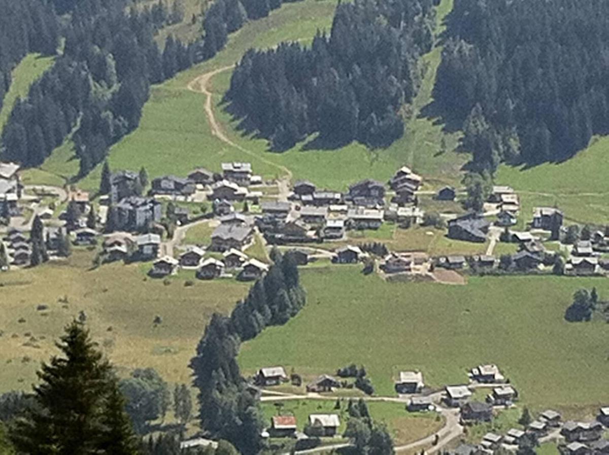 chalet Amitie familial de luxe avec JACUZZI, à 150 m des pistes de ski de la Turche, Parking privé, WIFI fibre, cheminée avec bois, - Housity
