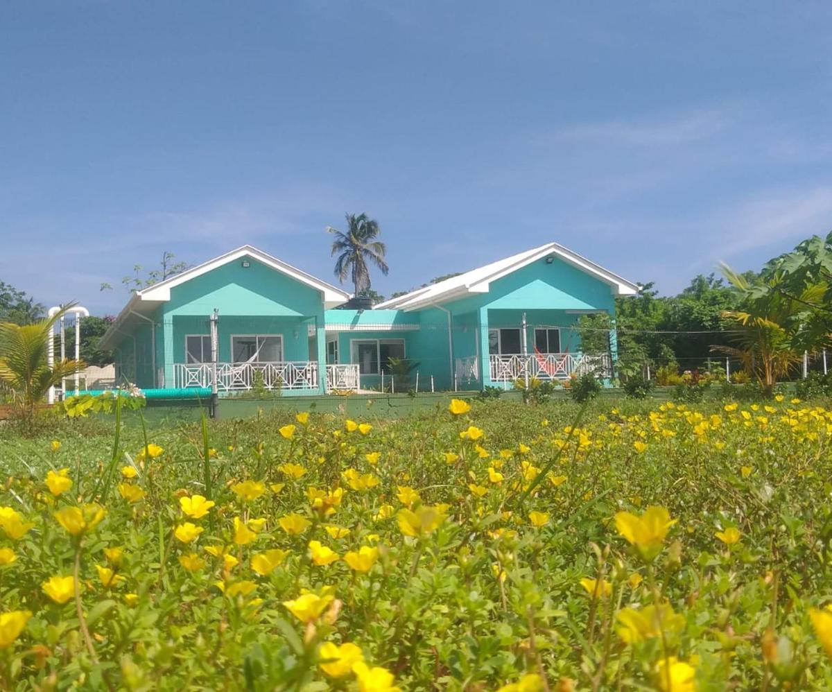 Blue Lizard House - Housity