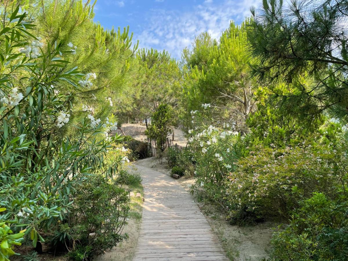 Jardin de l'établissement Hôtel Plage Palace & Spa