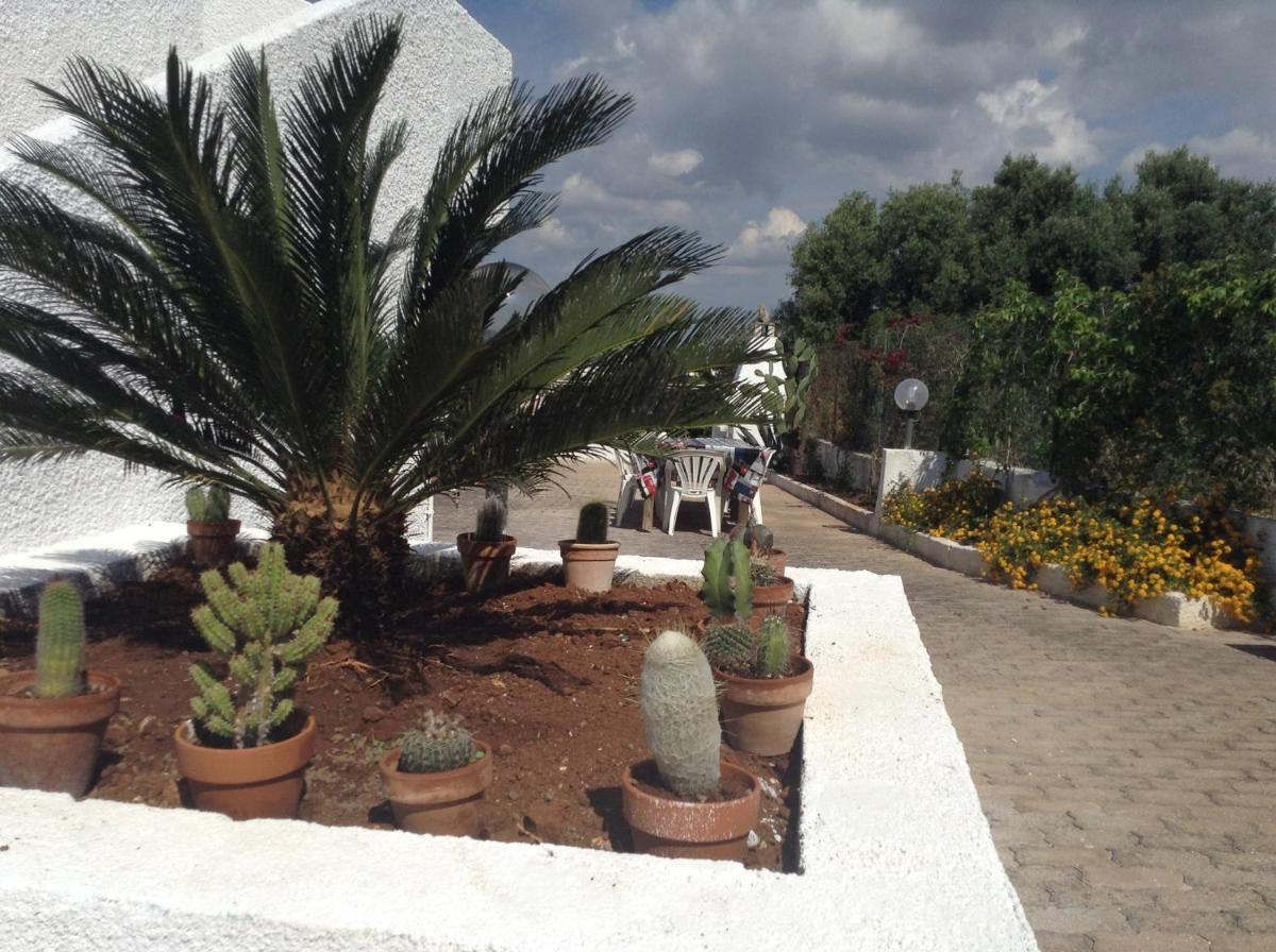 Villa Peluso - Housity