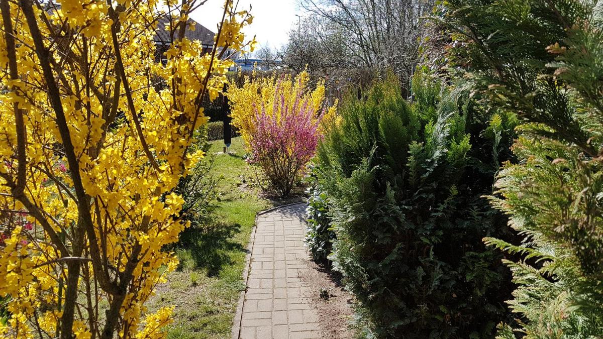 Ferienwohnung Holm - Housity