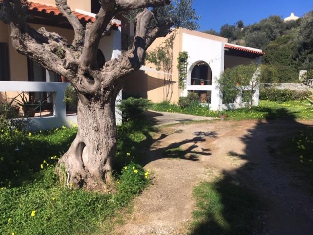Oneiro - Housity