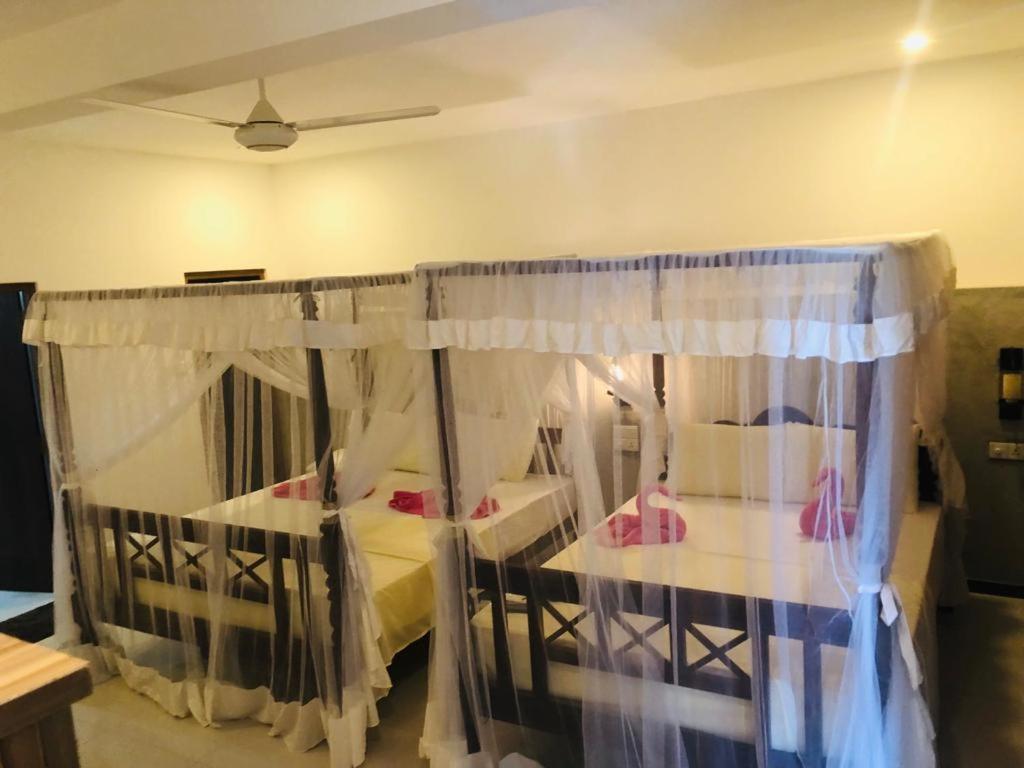 Coral Palm Villa and Apartment - Housity