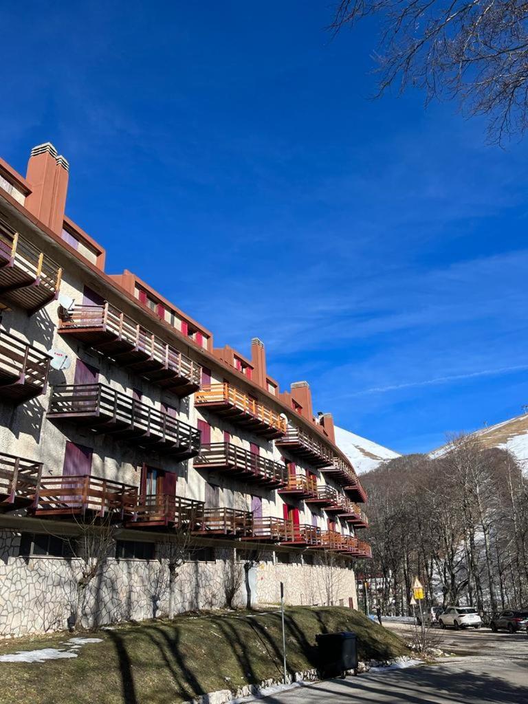 Beta terminillo - Housity