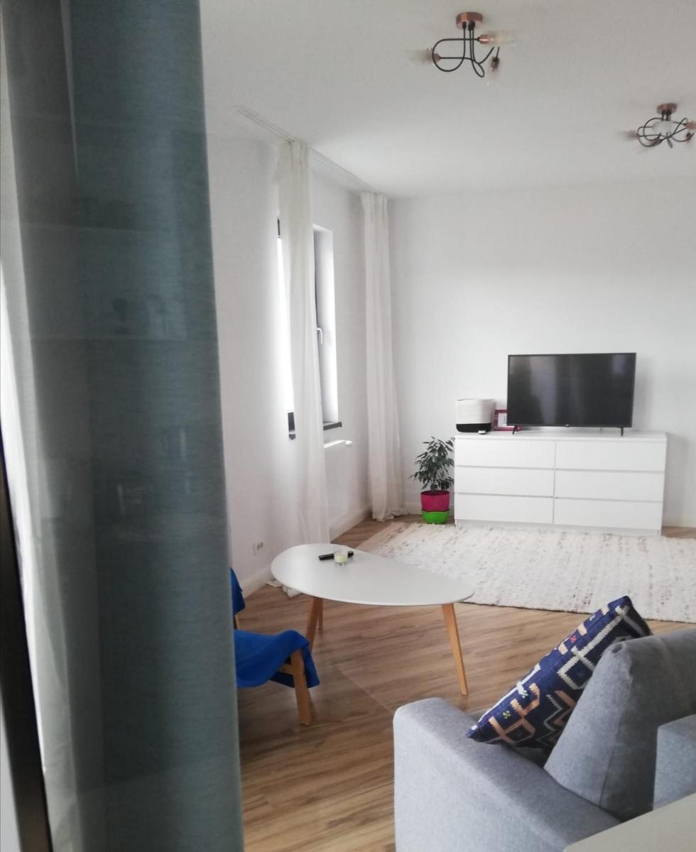 Brancusi Apartment - Housity