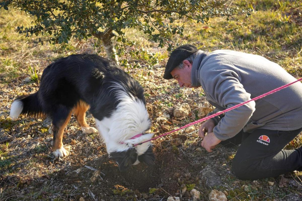 Aux delices de Saleix - Housity