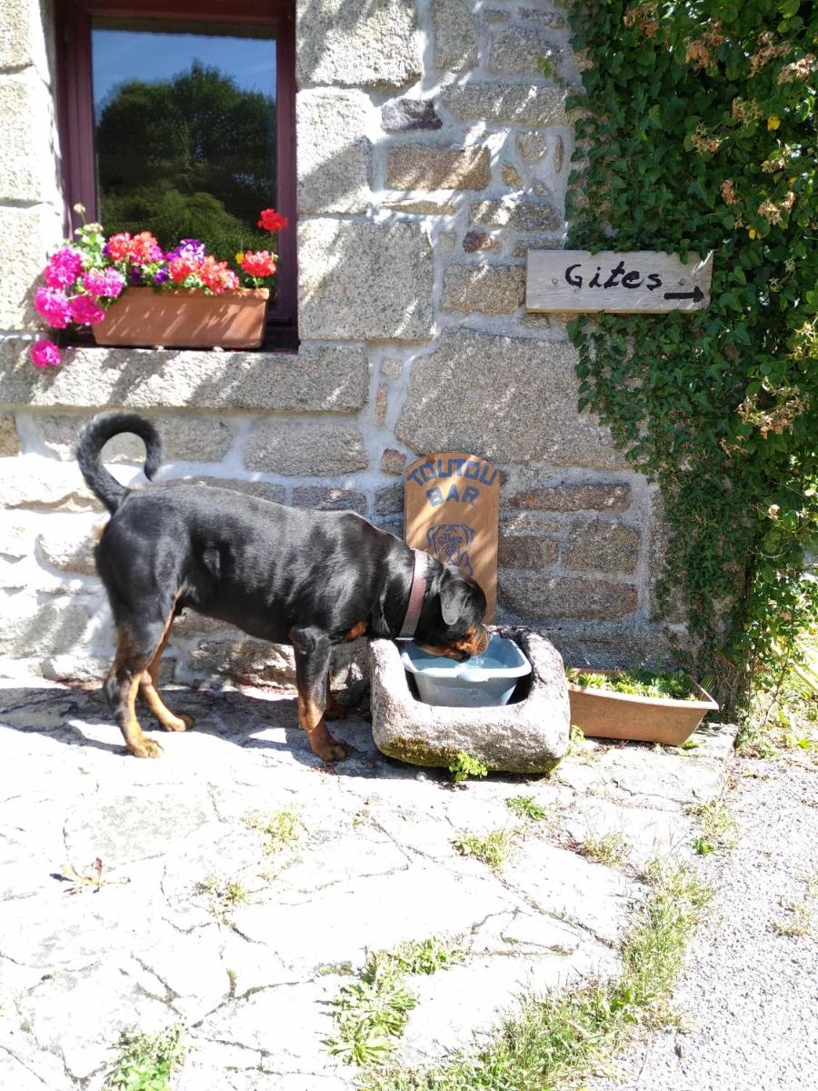 Domaine de Lesvaniel - Housity