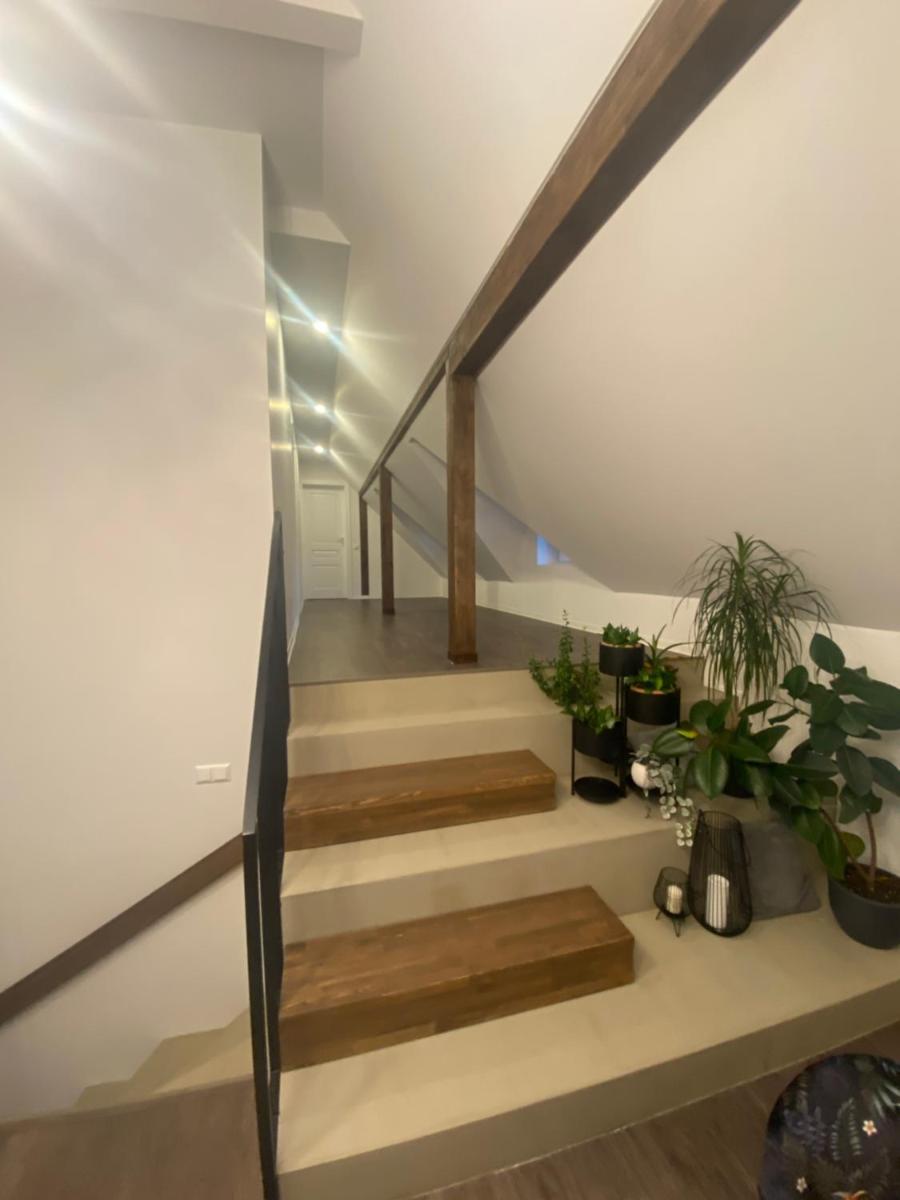 Kamurke - Guest House - Housity
