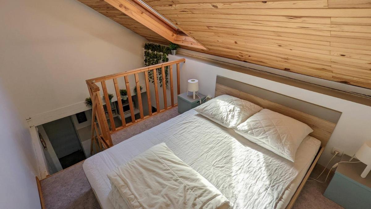 Studio Mezzanine Chez Papou, Ville et Forêt - Housity