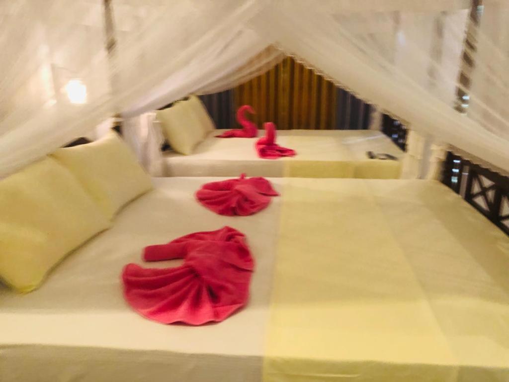 Coral Palm Villa and Apartment - Housity
