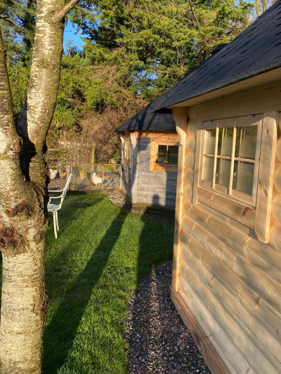 Pandy B&B - Housity