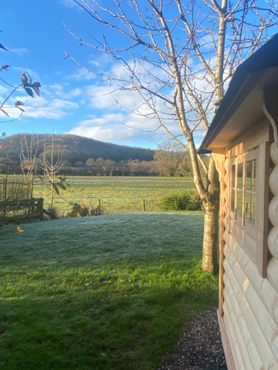 Pandy B&B - Housity