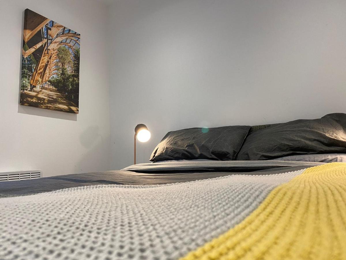 Snuggle Flat in Sheffield - Housity