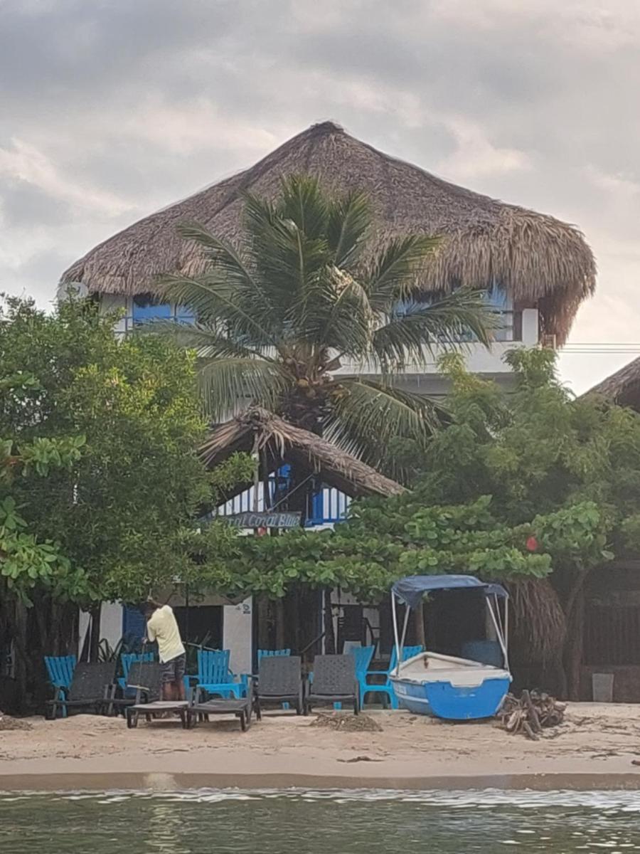 Hostal Coral Blue - Housity