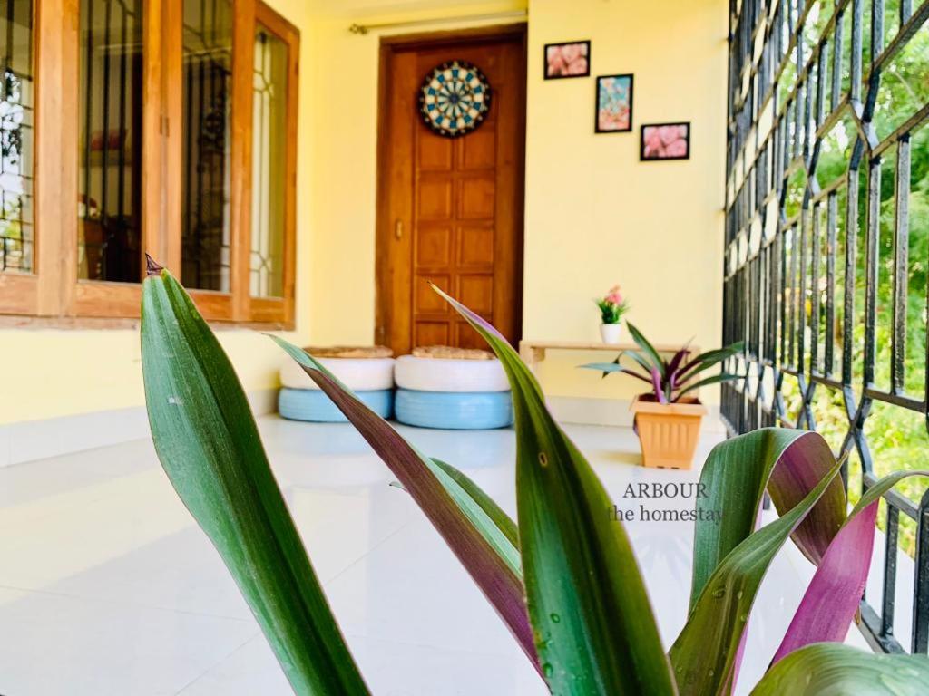 ARBOUR The Homestay - Housity