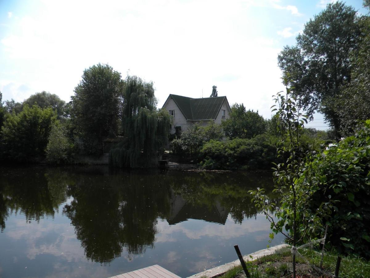Guest House Dacha - Housity