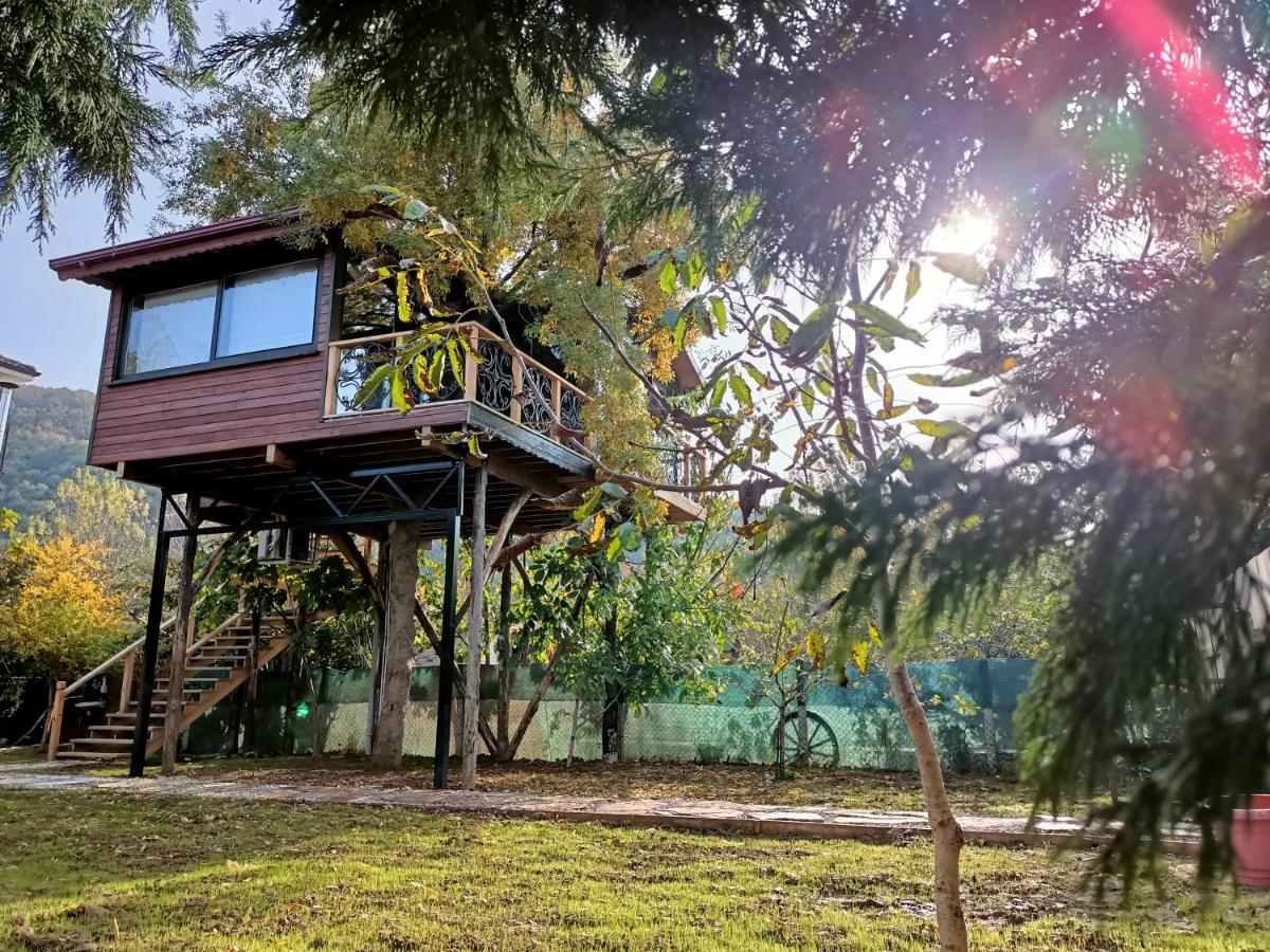 Karma Natura Treehouse - Housity