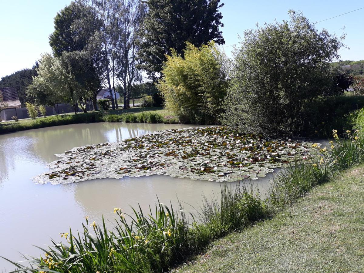 Les ROSEAUX A la Campagne au centre des chateaux de la Loire - Housity