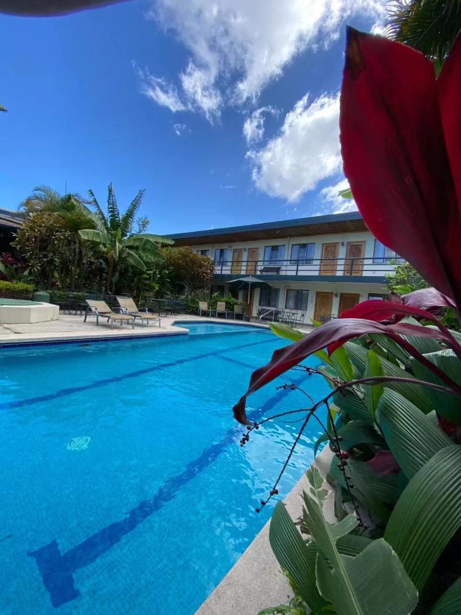 Hotel Ecological Inn - Housity